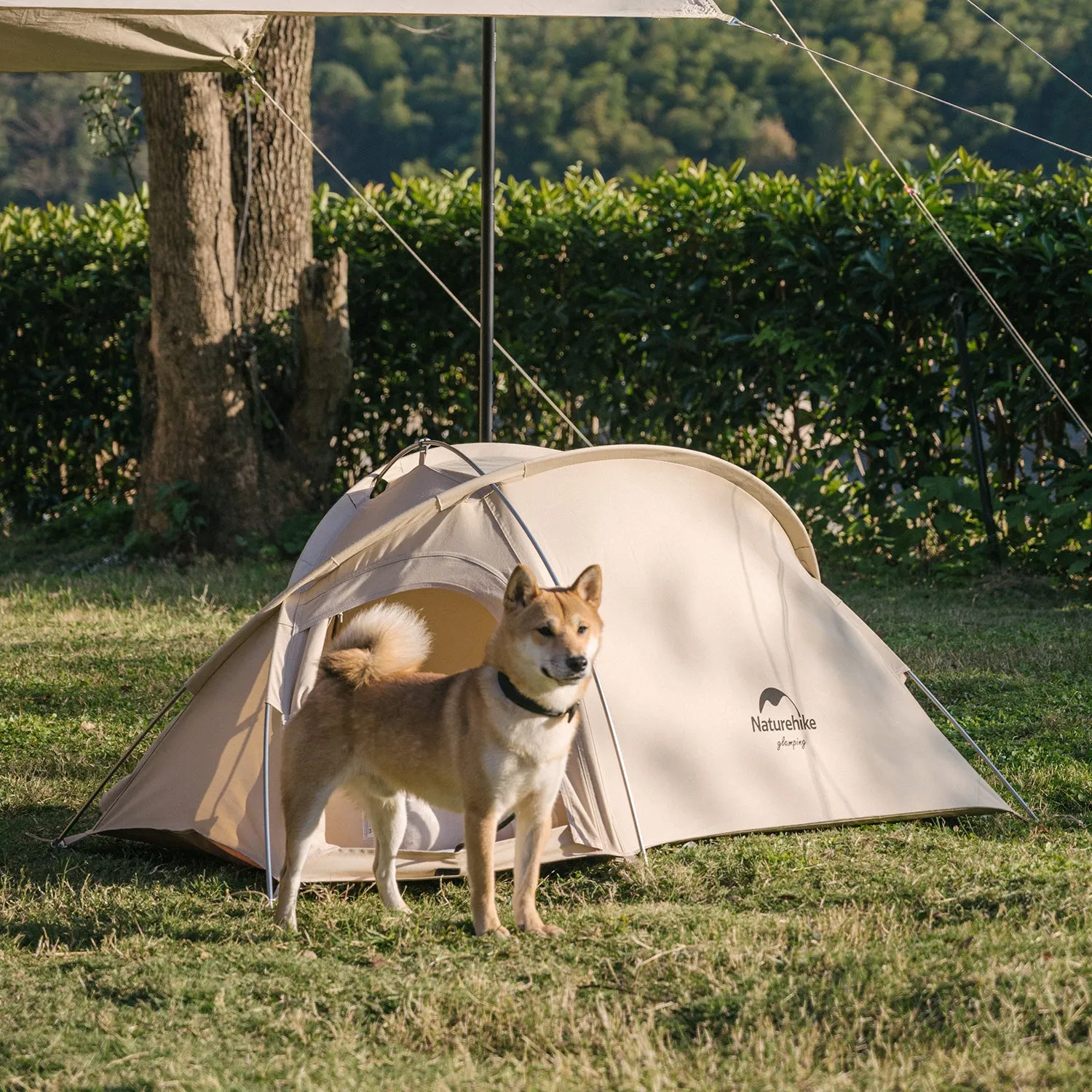 Mini Hiby 4-Season Pet Tent